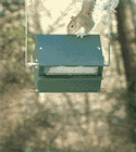 Roller Feeder Animation